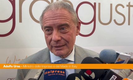 Elezioni Campania, Urso "Rimonta della destra possibile come nelle Marche"