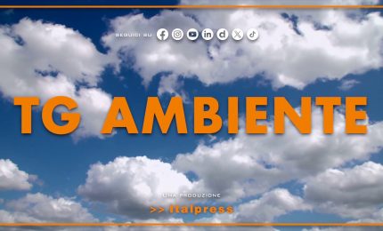 Tg Ambiente - 30/11/2025