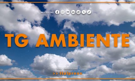 Tg Ambiente - 16/11/2025