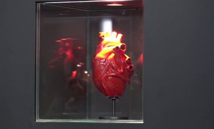 L'arte di Jago all'aeroporto di Fiumicino con "Apparato circolatorio"