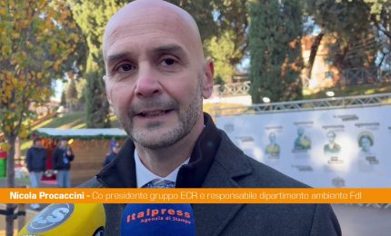 Procaccini "Rinsaldare i valori costitutivi dell'Ue, conservatori pi&ugrave; influenti"