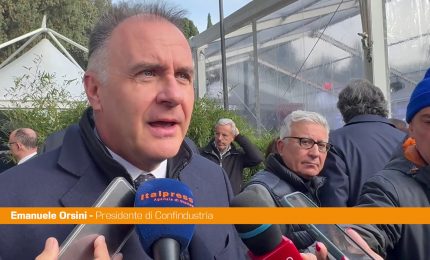 Dl Energia, Orsini "Fare presto, senza competitività perdiamo pezzi industria"