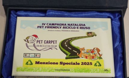 Al via la campagna solidale “Pet Carpet: Un riciclo da Oscar”