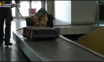 Finanziamenti ad Hamas per 7 mln attraverso associazioni, nove arresti