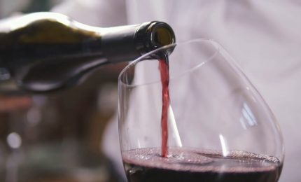 Vino, Spiriti e Aceti: La Filiera Italiana Resiste