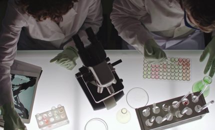 Chiarito il legame tra lupus e rischi cardiovascolari