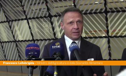 Mercosur, Lollobrigida "Abbiamo richiesto e ottenuto un fondo di garanzia"