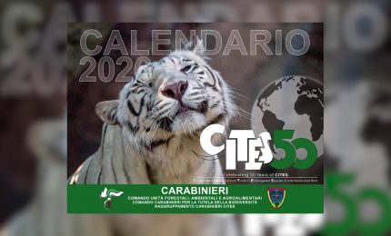 Carabinieri CITES, 50 anni di tutela della biodiversit&agrave; globale