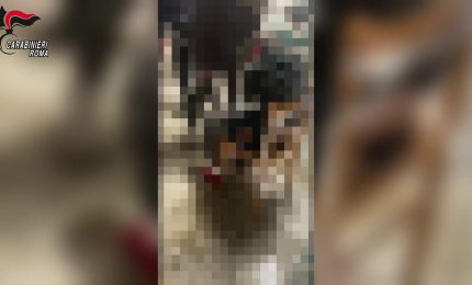 Roma, torture e sequestri per debiti di droga, 11 misure cautelari