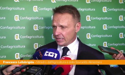 Ue, Lollobrigida "Gli agricoltori rivendicano diritto a essere protagonisti"