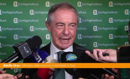 Cucina italiana patrimonio Unesco, Urso "Importanti ricadute economiche"