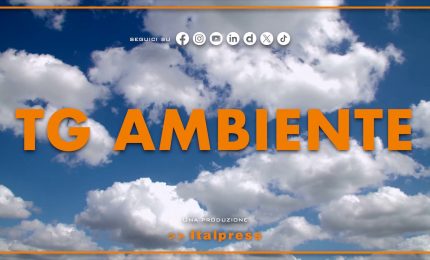 Tg Ambiente - 14/12/2025