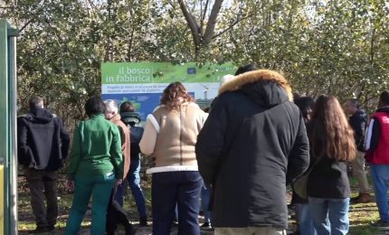 A Marcianise svolta green Haiki Metals, Pietro Colucci "10 mln di investimenti"