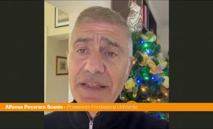 Ponte sullo Stretto, Pecoraro Scanio "Progetto fallito, Governo dica la verit&agrave;"