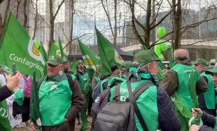 Gli agricoltori in piazza a Bruxelles per chiedere un cambio di rotta all'Ue