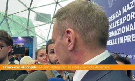 Cucina italiana, Lollobrigida "Con riconoscimento Unesco dati positivi"