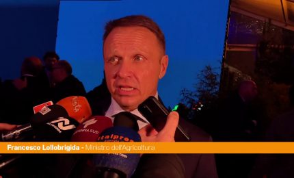 Ue, Lollobrigida "Padri fondatori lavorarono per sostegno agricoltori"