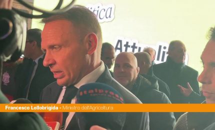Lollobrigida "Sostenere l'agricoltura &egrave; una scelta strategica"