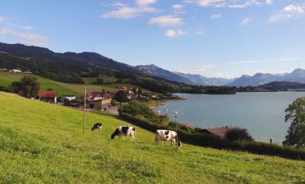 Pascoli, la FAO lancia l&rsquo;anno dedicato ai custodi della terra