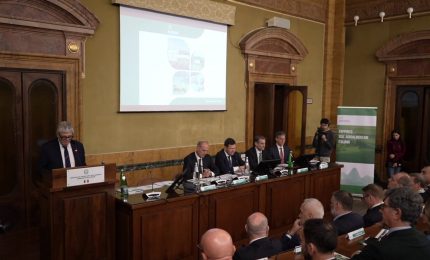 Ismea, l'Italia conferma la leadership agroalimentare in Europa