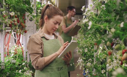 100 milioni per l'agricoltura