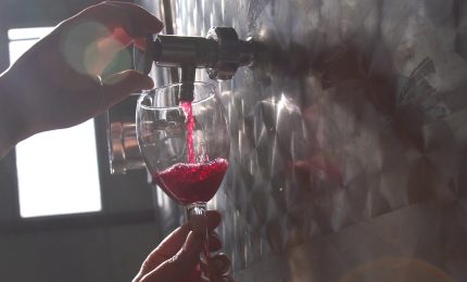 Vini dealcolati, via libera alla produzione in Italia