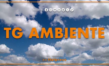 Tg Ambiente - 18/1/2026