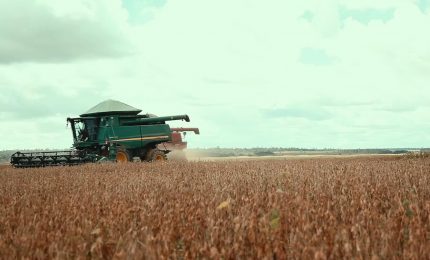 L'agroalimentare italiano vale il 15% dell&rsquo;economia