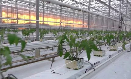 Sviluppo rurale, l'Italia ha speso il 99% dei fondi Ue