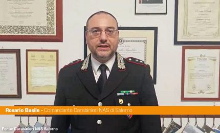 Macellazione clandestina in centro a Salerno, sequestrati 6 quintali di carni