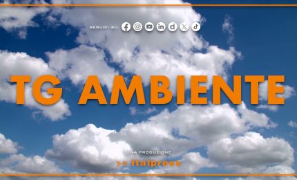 Tg Ambiente - 4/1/2026