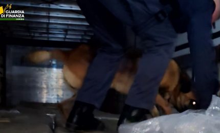 Dalla Croazia a Gorizia: intercettato camion con 110 kg di cocaina