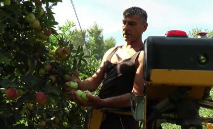 Ue, per l'agricoltura italiana 10 miliardi in pi&ugrave;
