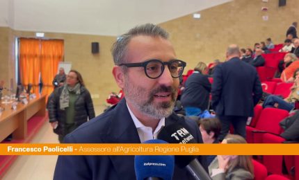 Puglia, Paolicelli "Quella del veterinario &egrave; una figura importantissima"