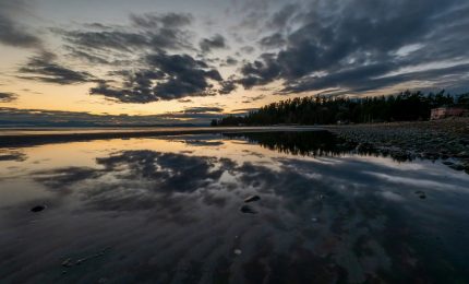 I "segreti" della cronobiologia