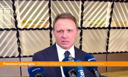 Mercosur, Lollobrigida "In Ue solo prodotti che rispettino i nostri standard"