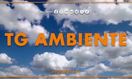 Tg Ambiente - 25/1/2026