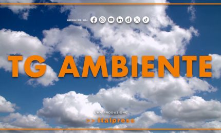 Tg Ambiente - 11/1/2026