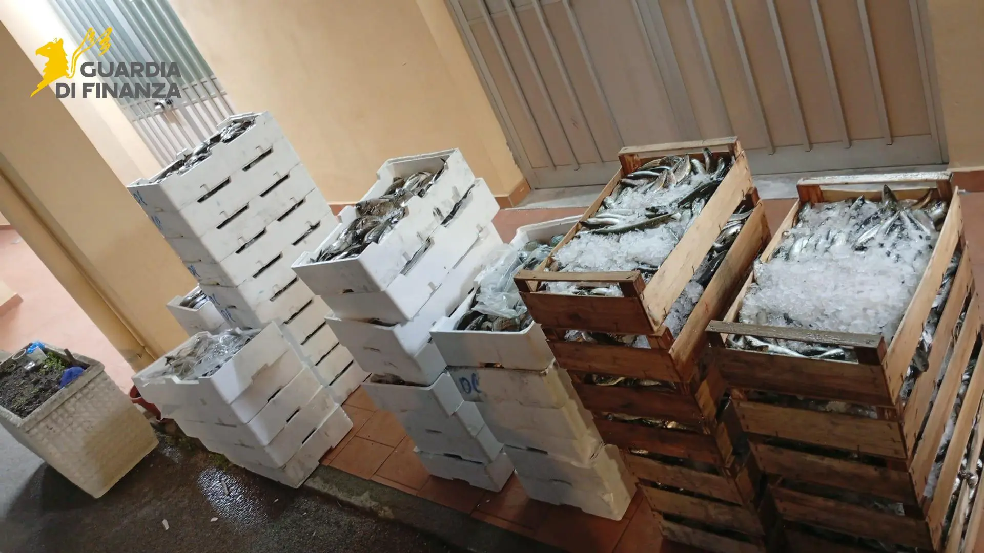 Messina, sequestrata oltre mezza tonnellata di prodotti ittici privi di tracciabilit&agrave;