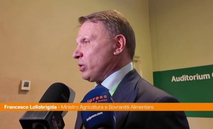 Lollobrigida "Rilanciamo il servizio civile in agricoltura"