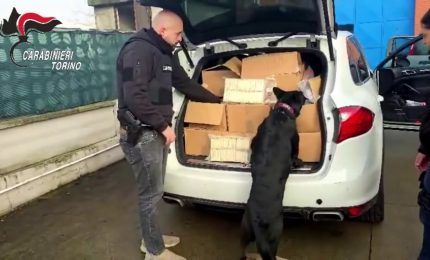 Sequestrata quasi mezza tonnellata di droga nel Torinese, tre arresti