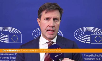 Mercosur, Nardella "Positive nuove clausole di salvaguardia per l'agricoltura"