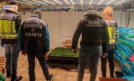 Stroncato un traffico internazionale di droga tra Italia e Spagna, 12 arresti / Video