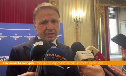 Agroalimentare, Lollobrigida "Cabina di regia sui controlli esempio per l'Ue"