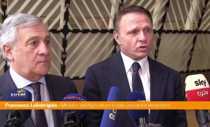 Lollobrigida "Martina possibile candidato direttore della Fao, lo sosteniamo"