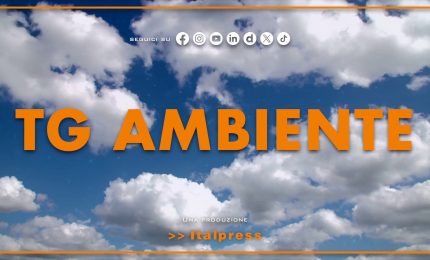 Tg Ambiente - 8/2/2026