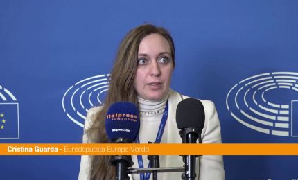 Mercosur, Guarda "Clausole di facciata per rendere l'accordo digeribile"