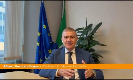 Ue, Pecoraro Scanio "Il digitale sia al servizio della democrazia"