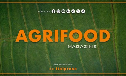 Agrifood Magazine - 4/2/2026