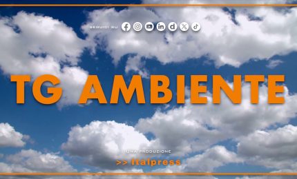 Tg Ambiente - 22/2/2026